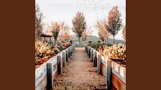 Mind-blowing Background Music for Wellness