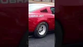 Cobra Jet Mustang Roars With Cammed Up Power - Ground Pounding Action At Its Finest!