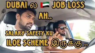 துபாய் ல திடிர்னு வேலை போய்ட்டா ? என்ன பண்ண 😟ILOE Scheme try பண்ணுங்க! 😁| Dubai Job Insurance Tamil