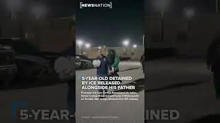Расскажите всю историю целиком, а не полуправду ради сочувствия. #короткиевидео #новости #иммиграция