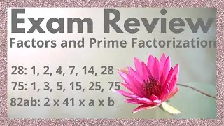 Exam Review: Factors and Prime Factorization | practice examples
