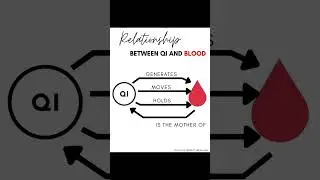 Something to ponder about: the many different relationships between Qi and Blood