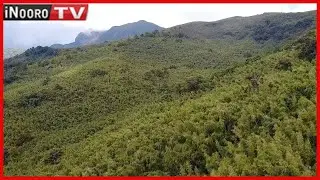 Mĩtitũ gũthũkangio na njĩra nene makĩria mũtitũ wa Abedare