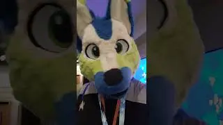 Qu&eacute;bec City Comic Con Day 2 Short VLog - almost over!