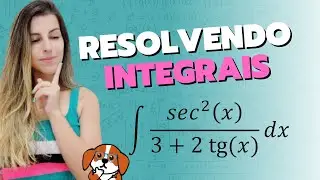Resolvendo Integrais Indefinidas: Exercícios Passo a Passo | Cálculo 1