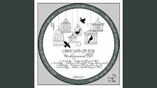Unknown Habitat (Original Mix)