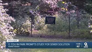 'Getting the poop out of the soil' | E. Coli at Burnet Woods prompts study for sewer solution