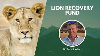 Wildlife Conservation Expo | April 23, 2022 | Lion Recovery Fund