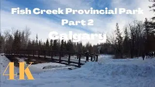 4K Walking through Fish Creek Provincial Park in Calgary, Canada. Stunning forest scenery.