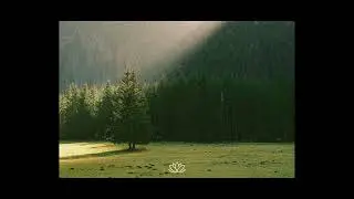 Raw Alek Olsen x Acoustic Guitar Type Beat - &ldquo;Dear July&rdquo;