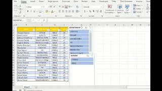 Insert Slicer in Excel 📚💡#excel #excelshorts #trends #viral #public