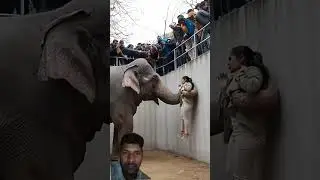 #funny #zoo #animals #monkey #heroanimal