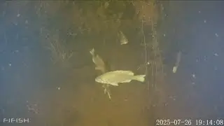 EXPLORIING SECRET BASS FISHING HOLES WITH MONSTER BASS