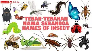 BELAJAR NAMA HEWAN SERANGGA BAHASA INDONESIA - INGGRIS | NAMES OF INSECT LEARN ANIMALS NAMA BINATANG
