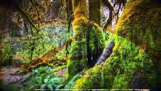 Iszoloscope   Chronophage Official Video