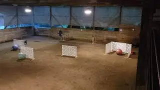 NEW NATE treibball titling game / urban herding / novice level
