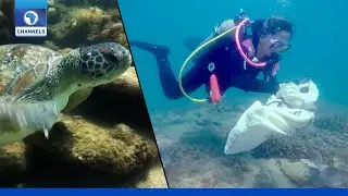 Climate Change: Protecting Marine Life | Earthfile