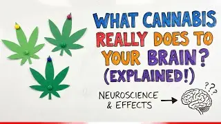 How People Usually Feel After Using Marijuana (Weed)