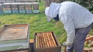 Ograničavanje plodišta