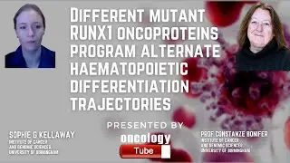 Different mutant RUNX1 Oncoproteins Program