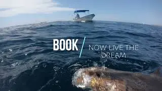 BEST SPEARFISHING 2022 MEXICO