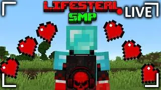 Levelling up on Lifesteal SMP