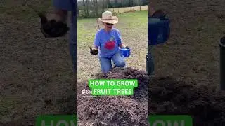 The Secret Ingredient to Growing Fruit Trees! 🍑🌳