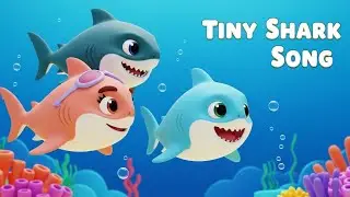 Tiny Shark Song 🦈 | Fun Ocean Dance for Toddlers | Dudu Rhymes