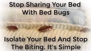 How Do You Get Rid Of Bed Bugs? Isolate Your Bed