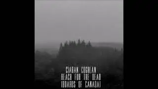 Ciaran Coghlan - Reach for the Dead (Boards of Canada) Post-metal cover