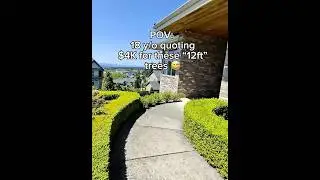 Quoted $4,000 to fix these &ldquo;12ft&rdquo; trees 🌲 Worth it? Or overpriced? 👇 #lawncare #business #pov