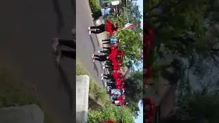 Karnaval mojo