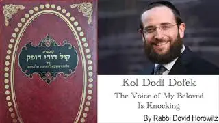 Klal Yisrael's Pain Is The Shechina's Pain