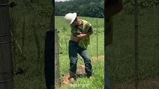 How Does Electric Fences Work #shorts #ytshorts