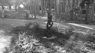 Exhibition Opening Event Sculpture Garden 2016