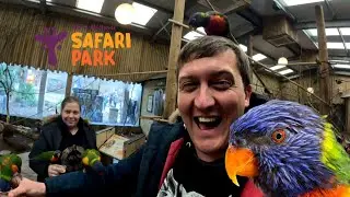 West midlands safari park is back!