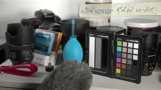 GH5 400Mbps All-I 4:2:2 10-bit, 200Mbps 4:2:0 8-bit vs 5D3 ML RAW