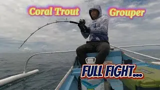 Coral Trout Grouper full fight|mackerel|Cute Cuda| Jigging Adventure (final part)
