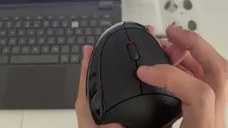 Lekvey Ergonomic Mouse - Everything you need to know
