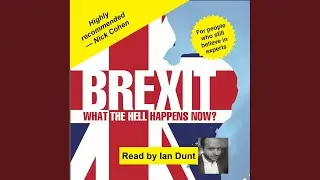 Chapter 41 - Brexit: What the Hell Happens Now?