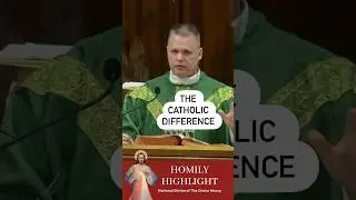 What makes the Catholic Church different? The Sacraments. #frchrisalar #homilyhighlight