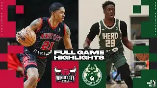 Wisconsin Herd vs. Windy City Bulls - Game Highlights