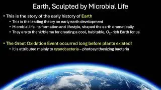 Microbiology lecture 6.1 Early Earth and Microbial Evolution