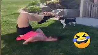 TRY NOT TO LAUGH FUNNY VIDEOS - FUNNY MOMENTS OF THE YEAR COMPILATION  😂😁😆 MEMES  