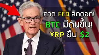 👨&zwj;⚖️ คาดการณ์ FED ลดดอก BTC 🚀 จะพุ่งได้อีก! XRP ยืน $2 จากการถือรายย่อย 🧑&zwj;🤝&zwj;🧑