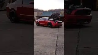 would you like some car content? comment below 👇 #mustanggt #s197 #boosted #bikelife #r1 #s1000rr