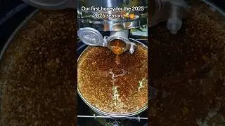 #bee #bees #beekeeper #beekeepers #beekeeperslife #beekeeperdiaries #beekeeping #honey