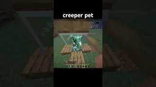 creeper pet #minecraft #minecraftmemes #minecraftclips