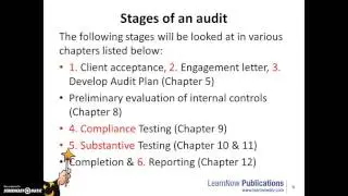 Stages of the Audit Process