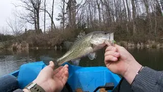 Early spring time bass fishing in small pond! (Aggressive Catches)